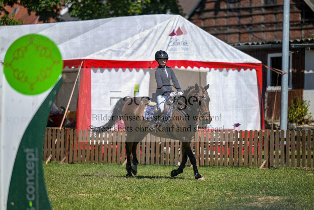 Reitturnier Voxtrup | Entdecke hochwertige Reitturnierfotos von Foto Oger. Professionell, emotional und authentisch – jetzt Lieblingsmomente im Shop bestellen.Deutschlandweite Turnierfotografie. - Realisiert mit Pictrs.com