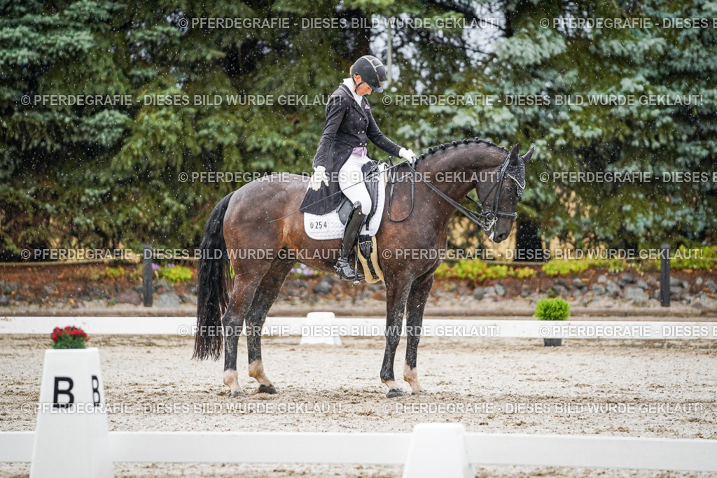 DSC08933 | Pferdegrafie