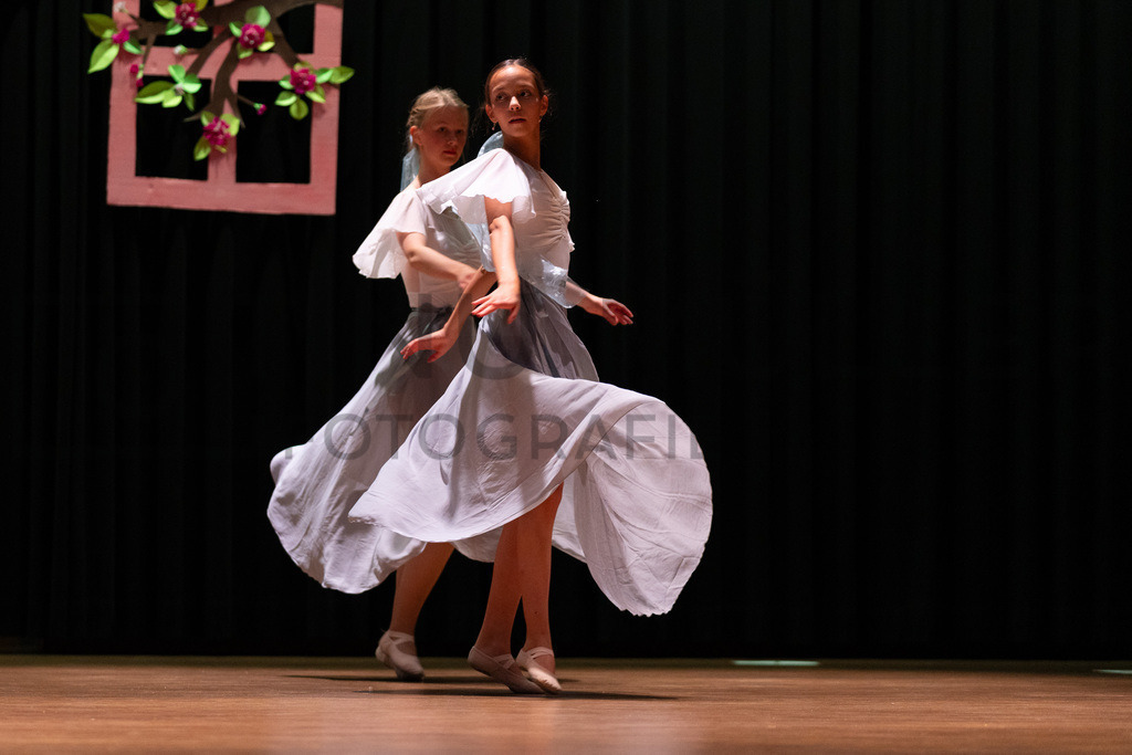 DSC09031 | Tinu Müller Fotografie- Bildershop - Realisiert mit Pictrs.com