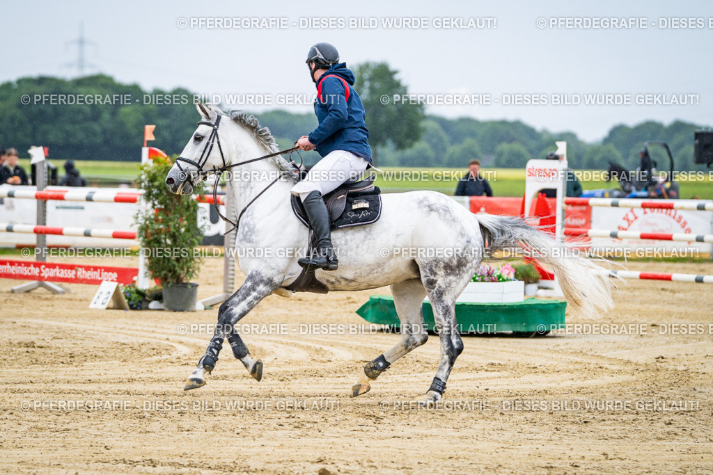 DSC07802 | Pferdegrafie