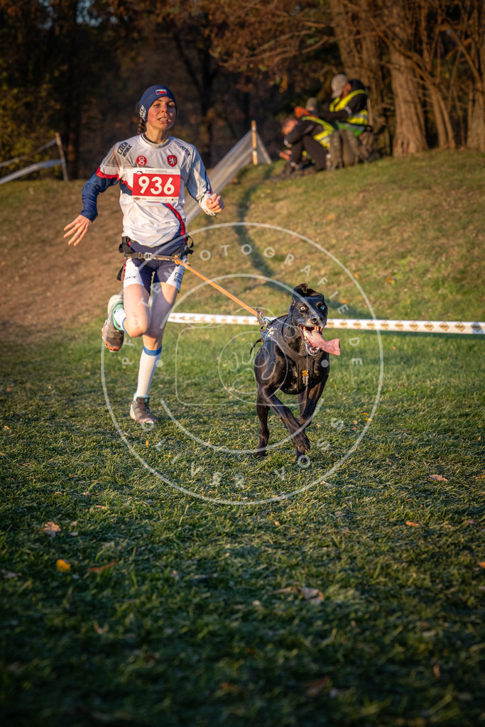 CaniXpix_0L8A1792 | Hundefotografie, Tierfotograf, Pfotenfotografie, Fotoshooting Hund, Hunde Portrait, Hundesport, Hundeportraits, Heideshooting, Hunde, Sportfotograf, Hundefotograf, Turnierhundsport, THS,  - Realisiert mit Pictrs.com