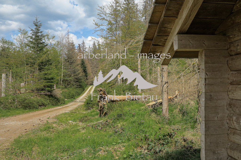 IMG_1992 | Medien- Sport- Entertainmentfotos