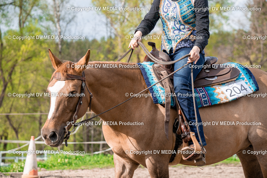 BAL02758 | dv-media-shop - Realisiert mit Pictrs.com