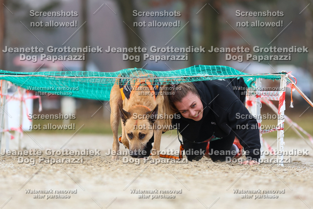 Dog Paparazzi - Strongdog North Mrz26-3796 | Dog Paparazzi Jeanette Grottendiek Fotografie & Videografie - Realisiert mit Pictrs.com