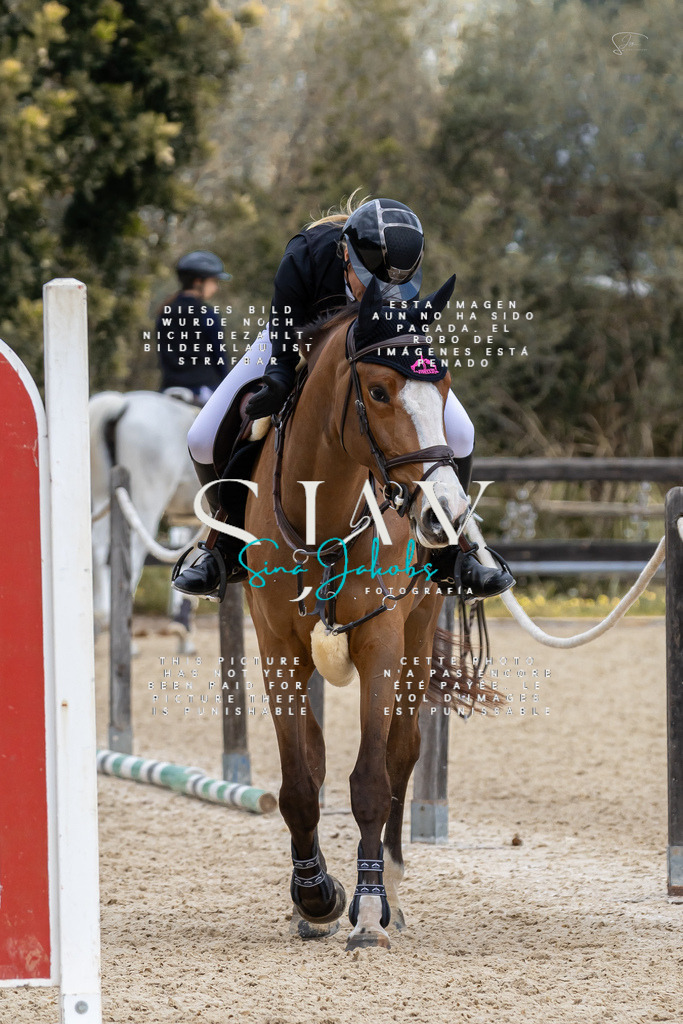 IMG_4906 | s-jay-photography - Realisiert mit Pictrs.com