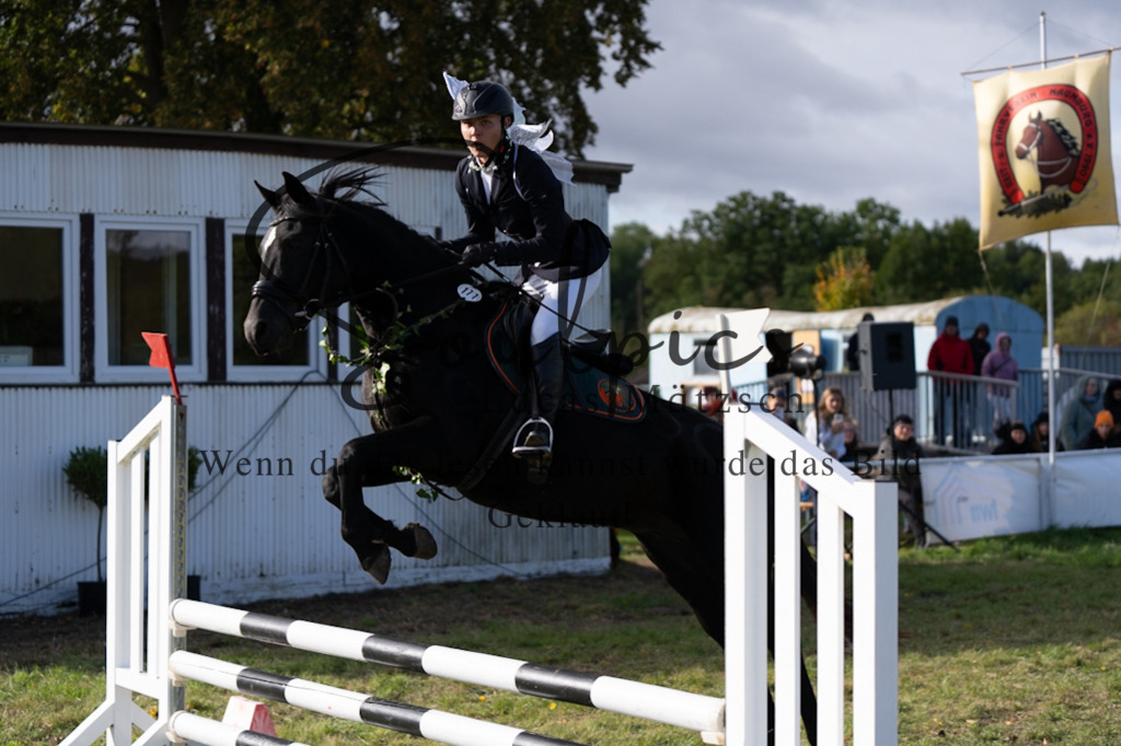 A7V06573 | Pferdefotograf