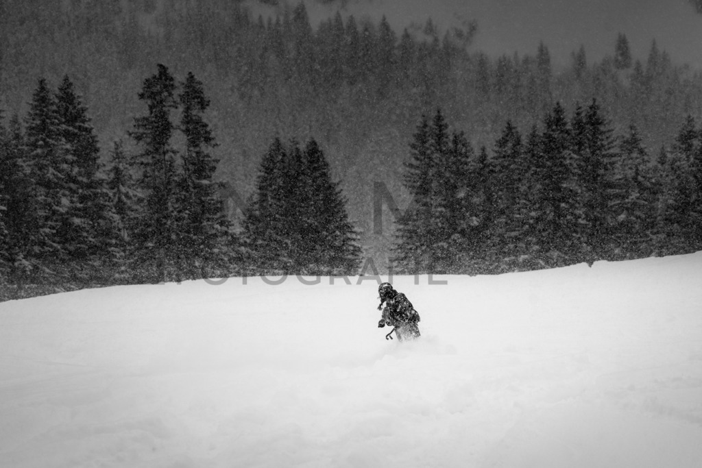 DSC07983 | Tinu Müller Fotografie- Bildershop - Realisiert mit Pictrs.com