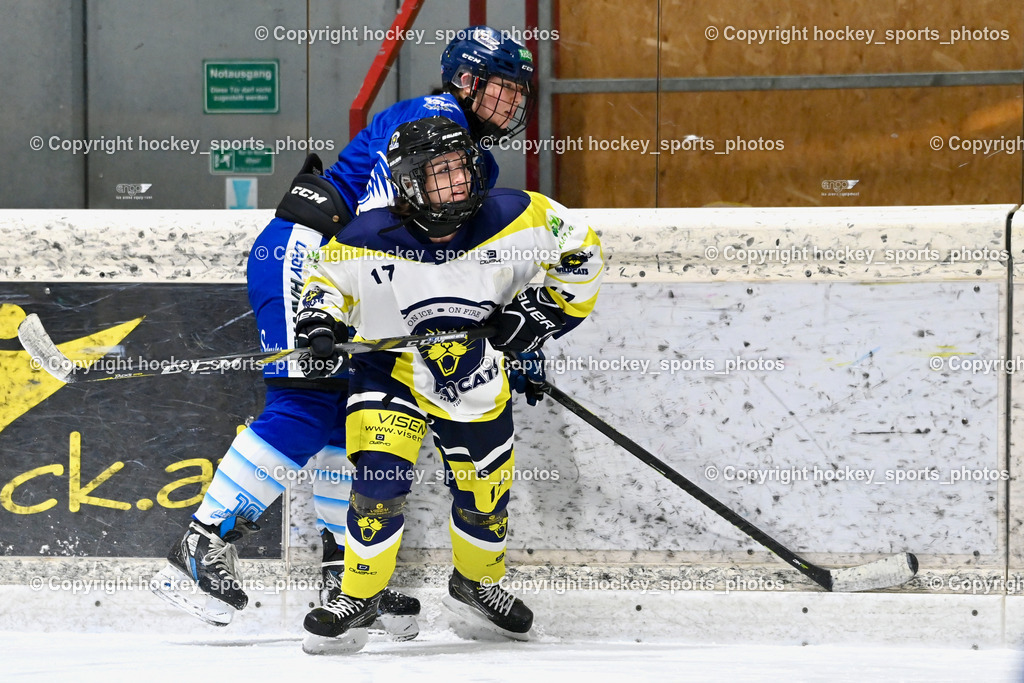 Wildcats Paternion vs. Lady Hawks  | #17 Kleindienst-Anton Anita Wildcats Paternion, #7 Fuchs Lena LADY HAWKS, Wildcats Paternion vs. Lady Hawks , Wildcats Paternion vs. Lady Hawks  am 27.01.2025 in Spittal an der Drau (Eissportzentrum Spittal), Austria, (Photo by Bernd Stefan)
