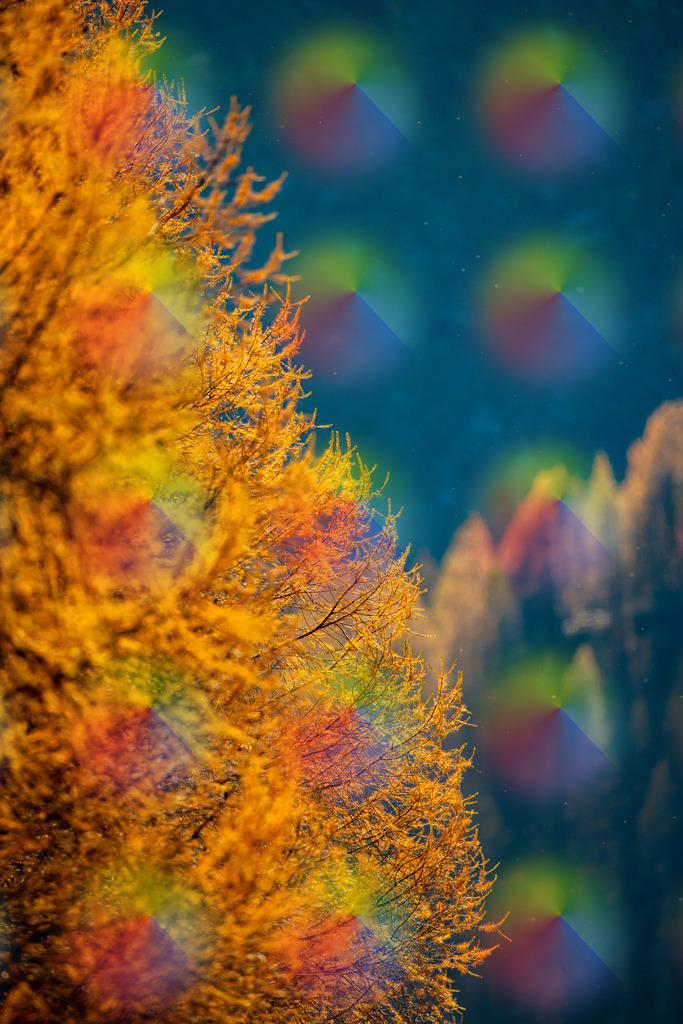 1M5A4355 | FineArtPrint, Hahnemühle, FeeGalerie, Fee Galerie, Fotokunst, Fotografie, Canonphotography, Bergfoto, Matterhorn, Rimpfischhorn, Allalinhorn, Saas-Fee, Wallis, Valais, Switzerland, Bergfotografie