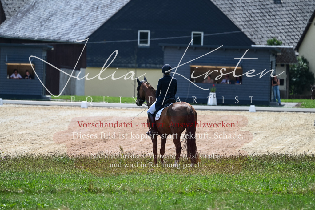 DSC_2744 | Pferde- und Turnierfotografie in Westsachsen. Pferdeportraits, Auftragszeichnungen und intuitive Kunst.