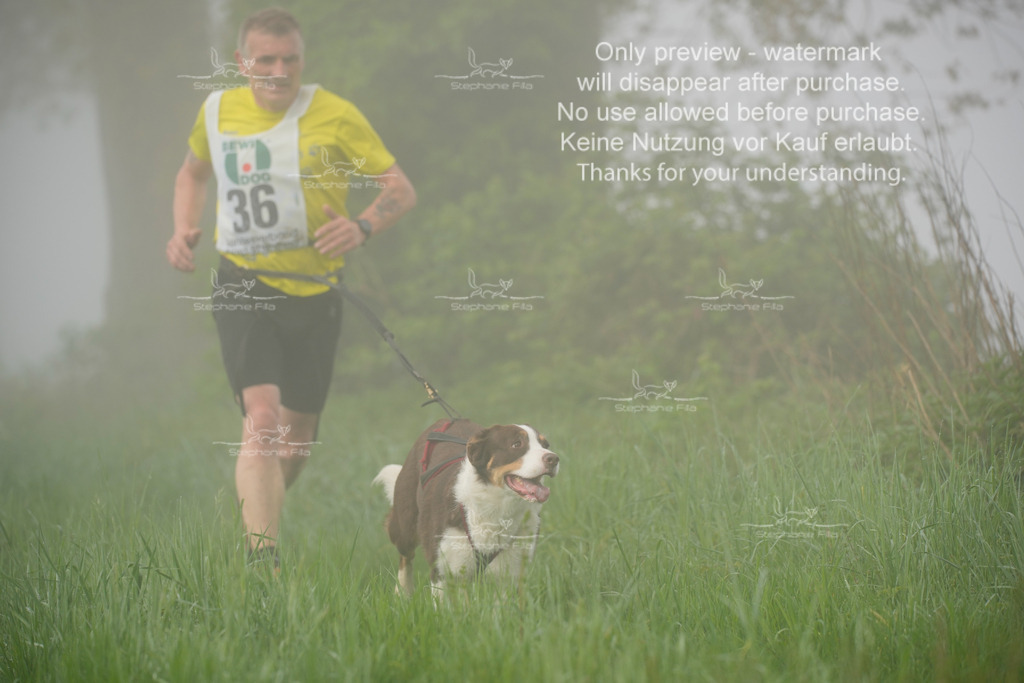 SA_GL2-196 | stephaniefillaphotographie - Realisiert mit Pictrs.com