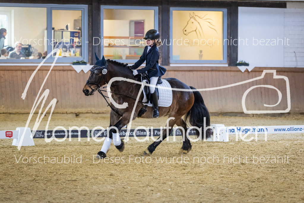 _M2A2013 | MomenTaufnahmen Pferdesportfotos