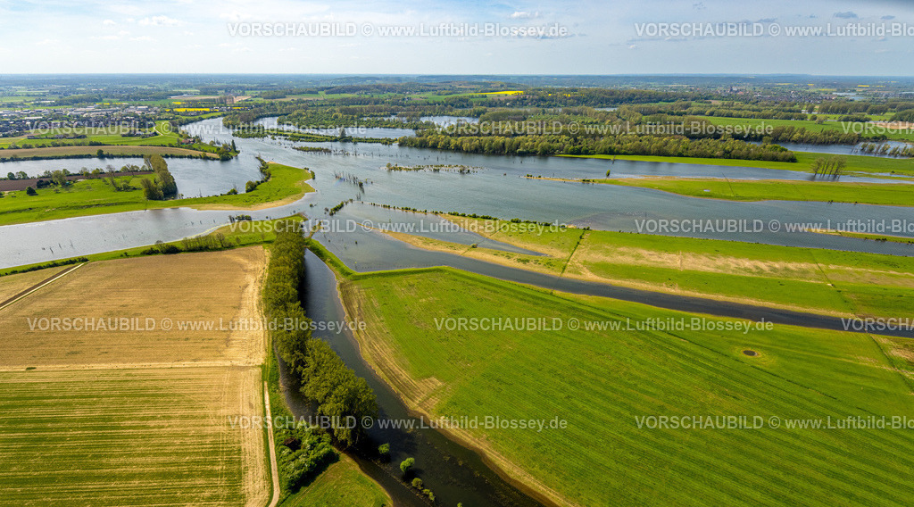 Wesel240402208BislicherInsel-Wesel | Luftbild, NSG Naturschutzgebiet Bislicher Insel Auenlandschaft, Schwarzer Graben mit Baumallee, Flussarm Alter Rhein, Seenlandschschaft mit Wiesen und Feldern und Fernsicht, Unterbirten, Xanten, Niederrhein, Nordrhein-Westfalen, Deutschland