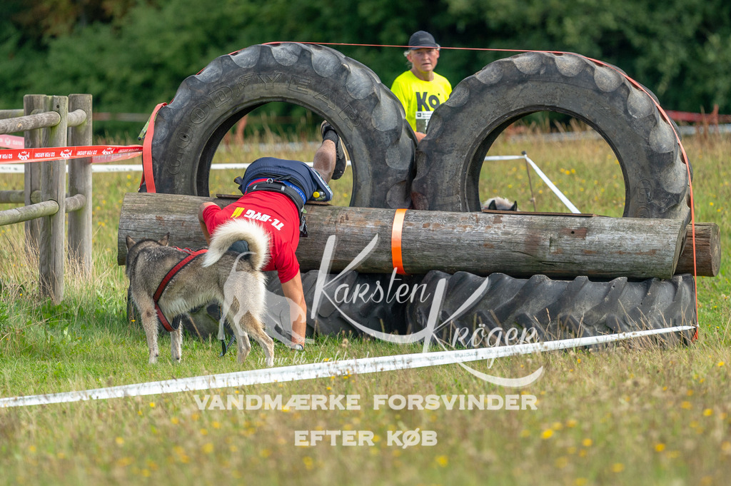 1106STR_1834 | kk-dogfotos