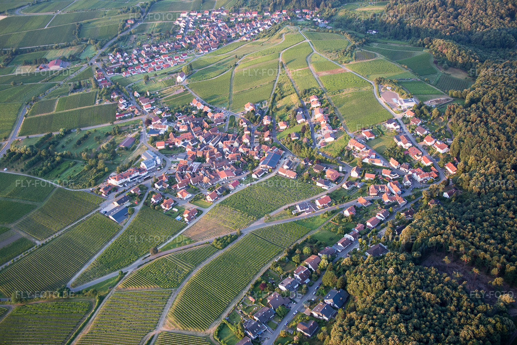 Luftbild: landwirtschaftlichen Feldern und Nutzflächen im Ortsteil Gleiszellen in Gleiszellen-Gleishorbach im Bundesland Rheinland-Pfalz in Deutschland. Foto: IMG_091840.jpg vom 16.07.2016 durch Werner Riehm/FLY-FOTO.de