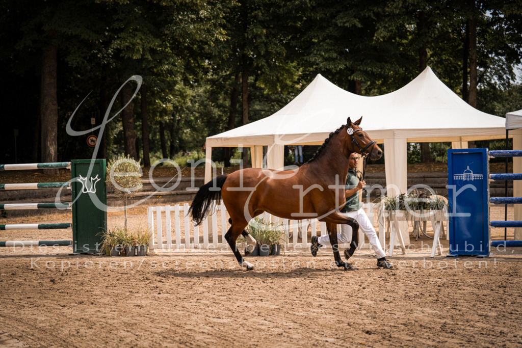 2. Fr00079 | Leoni Ertmer Photography - Realisiert mit Pictrs.com