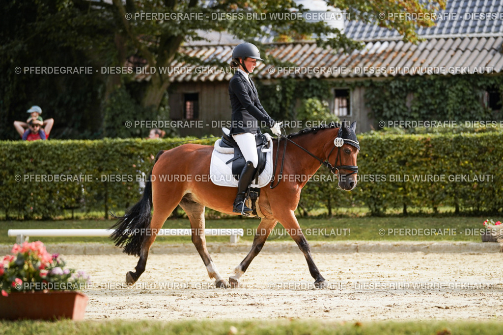 DSC04534 | Pferdegrafie