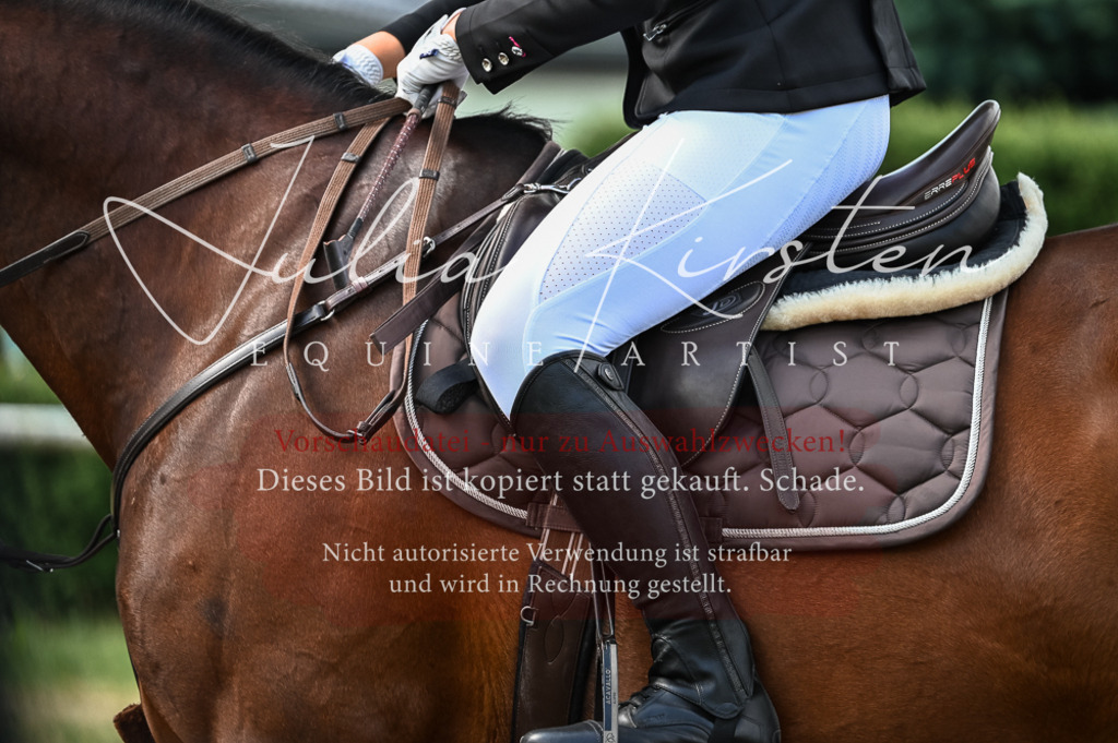 DSC_8487 | Pferde- und Turnierfotografie in Westsachsen. Pferdeportraits, Auftragszeichnungen und intuitive Kunst.