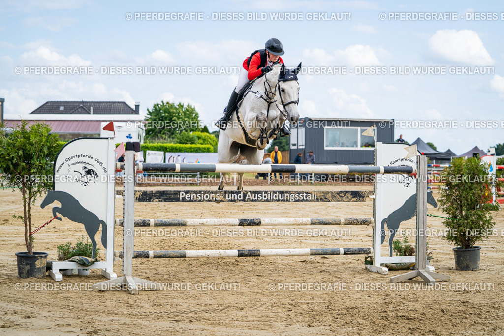 DSC07106 | Pferdegrafie