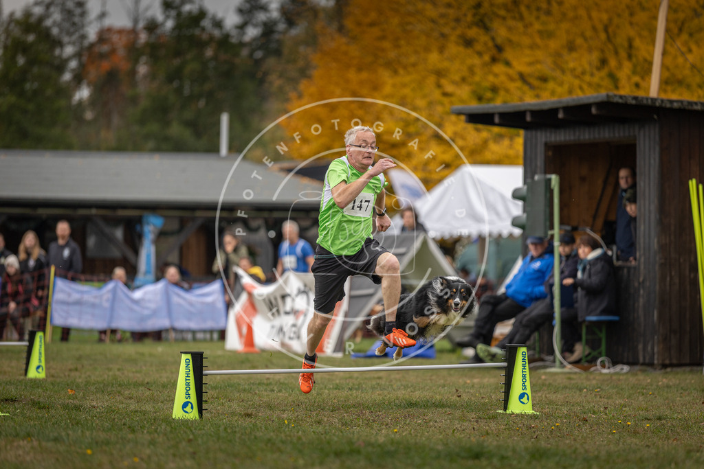 Pfotenfotografie_DV3A6216 | Hundefotografie, Tierfotograf, Pfotenfotografie, Fotoshooting Hund, Hunde Portrait, Hundesport, Hundeportraits, Heideshooting, Hunde, Sportfotograf, Hundefotograf, Turnierhundsport, THS,  - Realisiert mit Pictrs.com