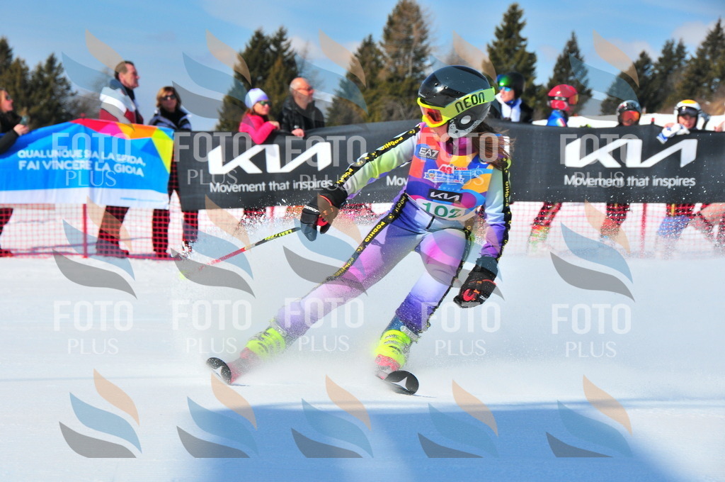 DSC_0743 | holidayphoto