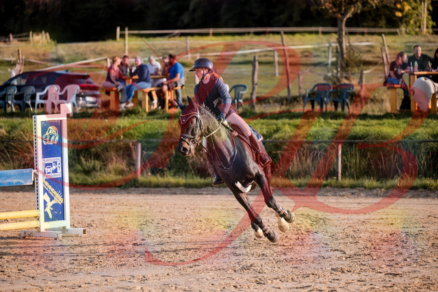 2026_10_03_Siefer-Hof_171535_Z81_12898428 | Professionelle Reitsport-, Turnier- und Eventfotografie von Robert Broda. Galerien mit ausgewählten und bearbeiteten Bildern direkt online ansehen und bestellen.