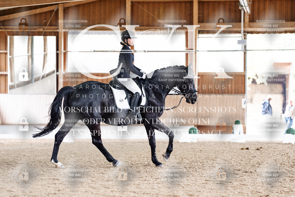 CK901066 | Turnierfotografie Pferdefotografie Trier Rheinland-Pfalz Pferdesport Reitsport Tierfotografie Sportfotografie Pferdevideo Pferdevideografie Equestrianvideography equestrianphotography  - Realisiert mit Pictrs.com