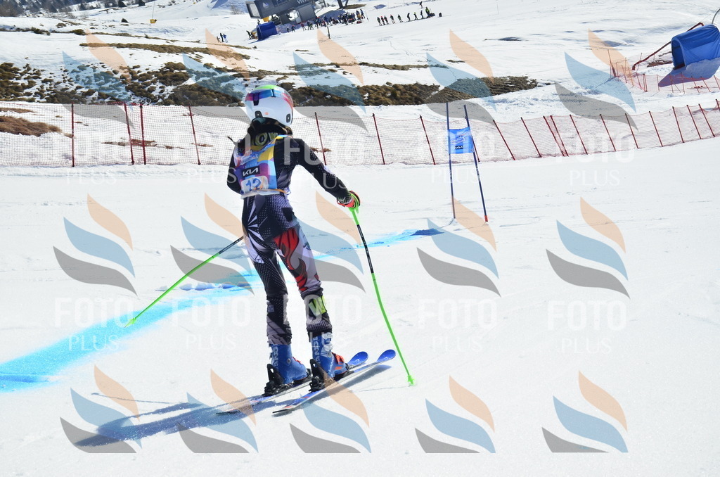 _ELE9799 | holidayphoto