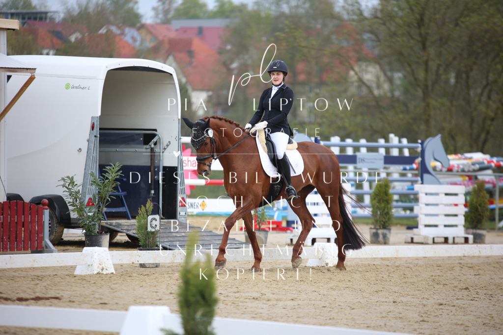 IMGT6651 | pl-fotografie