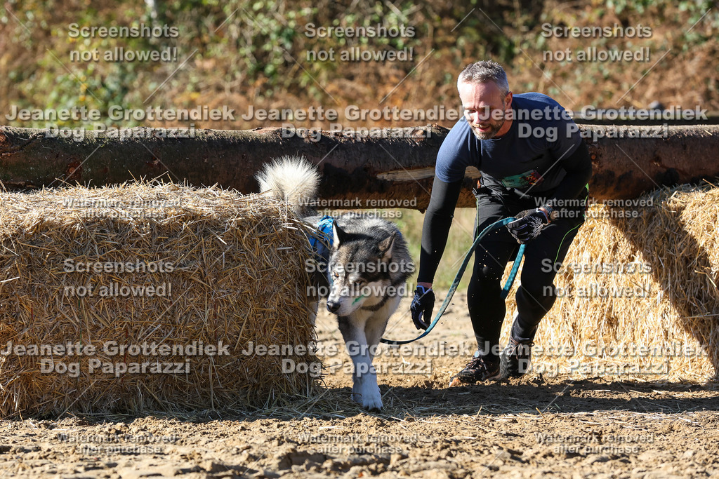 Dog Paparazzi - Strongdog 10-25-2626 | Dog Paparazzi Jeanette Grottendiek Fotografie & Videografie - Realisiert mit Pictrs.com