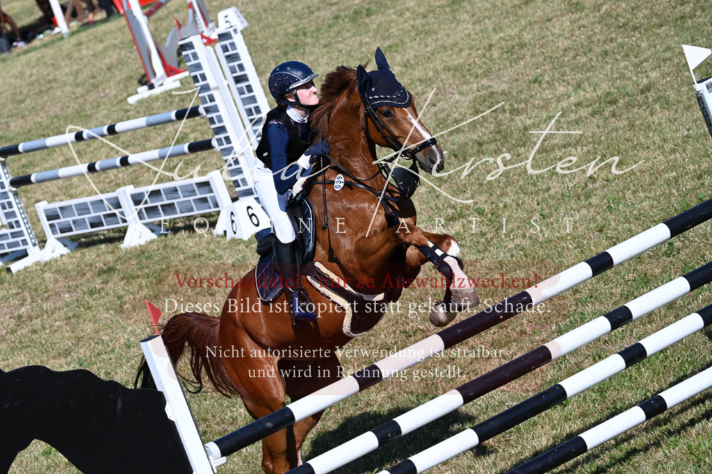 DSC_2325 | Pferde- und Turnierfotografie in Westsachsen. Pferdeportraits, Auftragszeichnungen und intuitive Kunst.