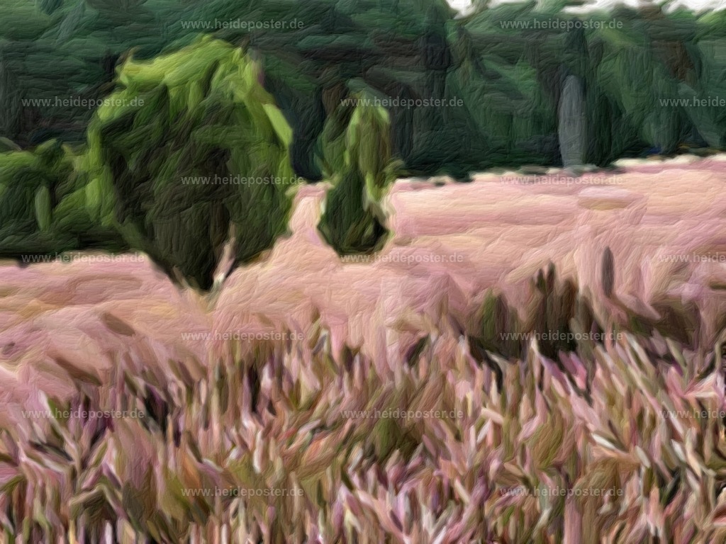 brushed_14kre136 | Poster aus der Lüneburger Heide - Realisiert mit Pictrs.com