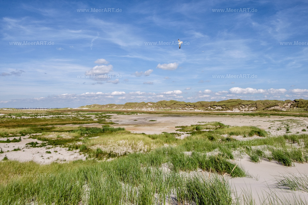 Amrum | Eine grandiose InselAuszeit auf Amrum mit einer ganz besonderen Überraschung - Realisiert mit Pictrs.com