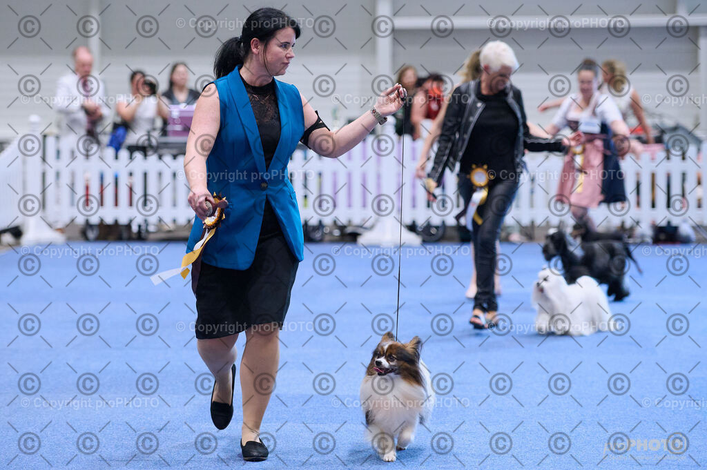 202406_ÖKV-IHA-Tulln24_DSC_3673 | proPHOTO - Realisiert mit Pictrs.com