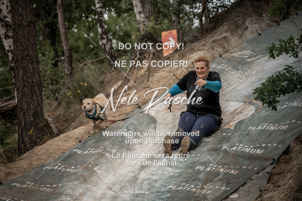 nelerasche_sa1200-1230_01 | nelerasche