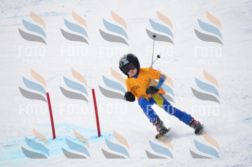 C8264 | holidayphoto