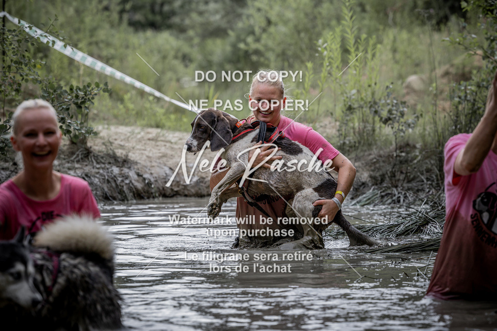 nelerasche_so1230-1300_25 | nelerasche