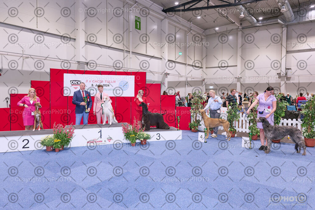 202406_ÖKV-IHA-Tulln24_NZ9_8751 | proPHOTO - Realisiert mit Pictrs.com