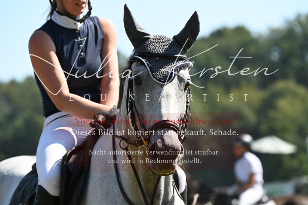 DSC_6479 | Pferde- und Turnierfotografie in Westsachsen. Pferdeportraits, Auftragszeichnungen und intuitive Kunst.