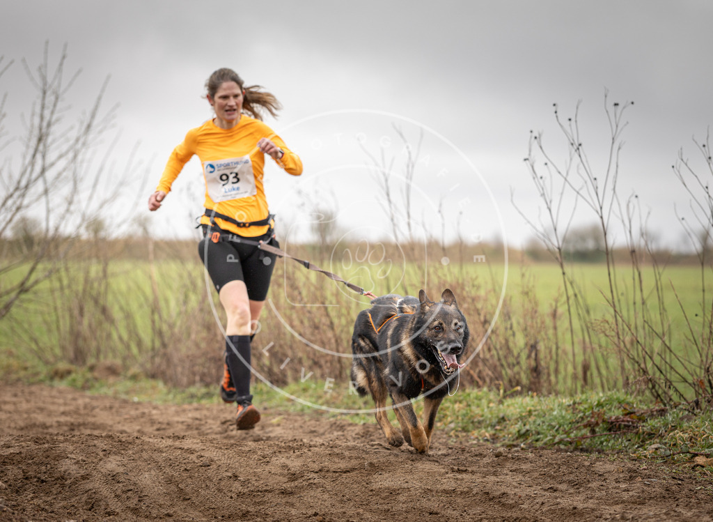 DV3A0047 | Hundefotografie, Tierfotograf, Pfotenfotografie, Fotoshooting Hund, Hunde Portrait, Hundesport, Hundeportraits, Heideshooting, Hunde, Sportfotograf, Hundefotograf, Turnierhundsport, THS,  - Realisiert mit Pictrs.com