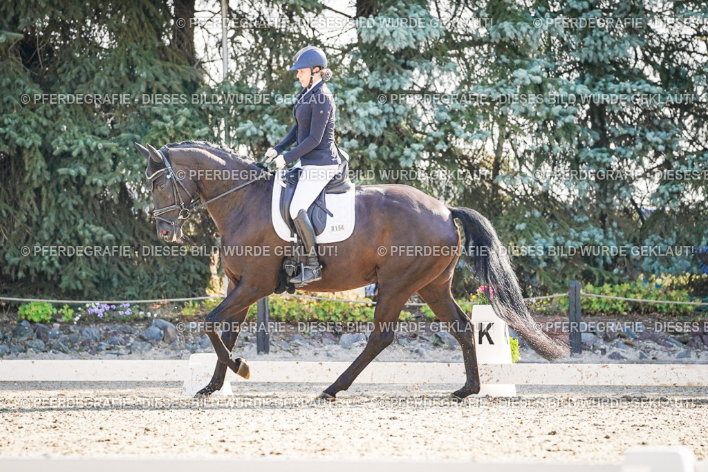 DSC09550 | Pferdegrafie