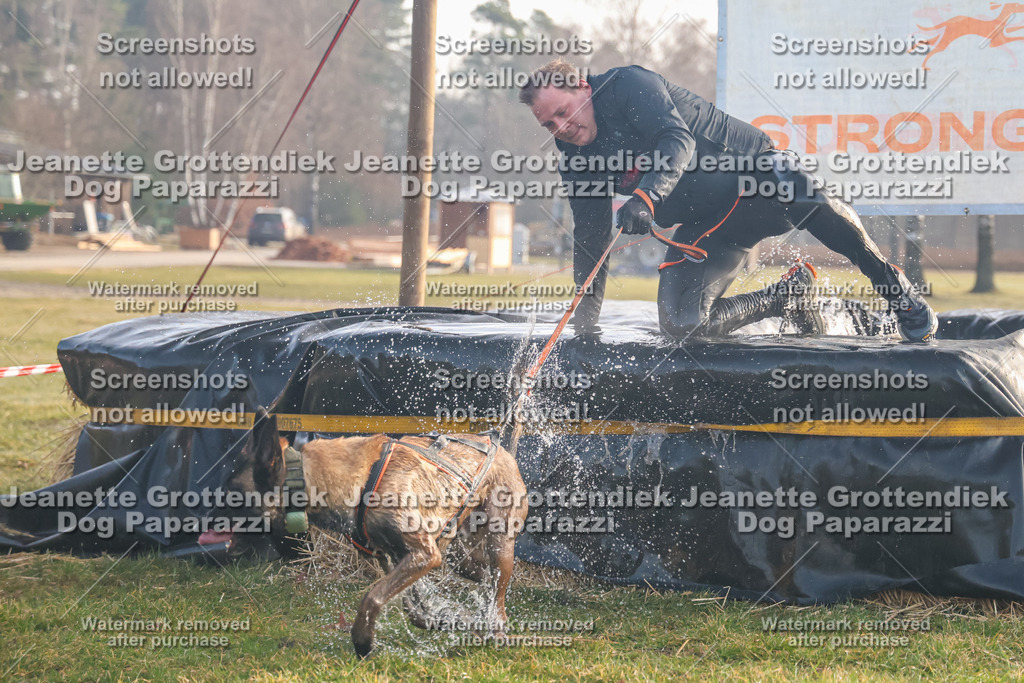 Dog Paparazzi - SD North Sa 830-900-162 | Dog Paparazzi Jeanette Grottendiek Fotografie & Videografie - Realisiert mit Pictrs.com