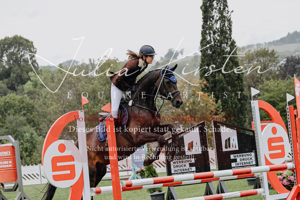 DSC_6931 | Pferde- und Turnierfotografie in Westsachsen. Pferdeportraits, Auftragszeichnungen und intuitive Kunst.