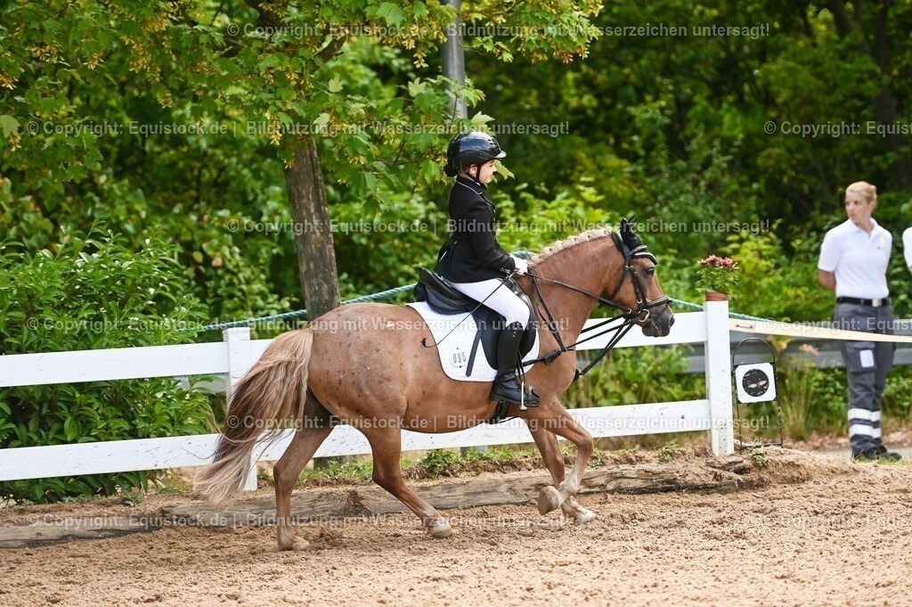 20230716_10-3_Reiter-WB Schritt - Trab - Galopp_0181 | equistock
