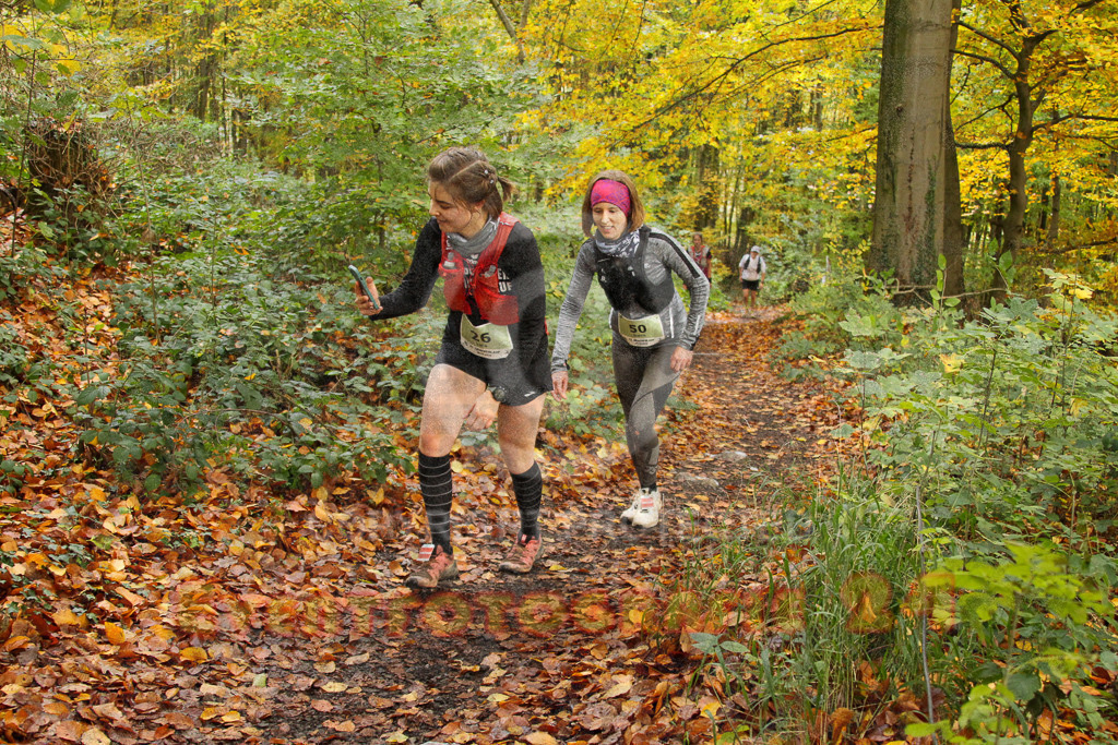 251026_1248_EV4_5838 | Sportfotografie im Rhein-Sieg Kreis, Köln, Bonn, NRW, Rheinland Pfalz, Hessen, etc. Unser Tätigkeitsfeld umfasst den Laufsport vom Volkslauf über den Marathon, Duathlon, Triathon bis zum Ultralauf wie Kölnpfad Ultra oder Schindertrail.