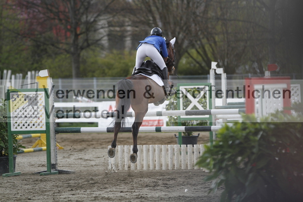 _MG_8426 | equestrian-live-com