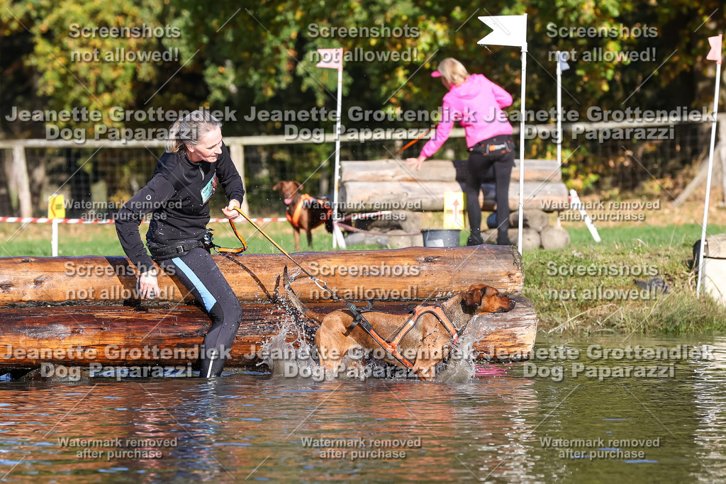 Dog Paparazzi - Strongdog 10-25-8662 | Dog Paparazzi Jeanette Grottendiek Fotografie & Videografie - Realisiert mit Pictrs.com