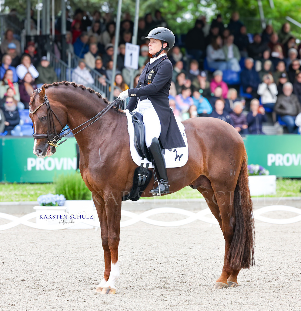 1B3A8236 | Reitsport Reiten