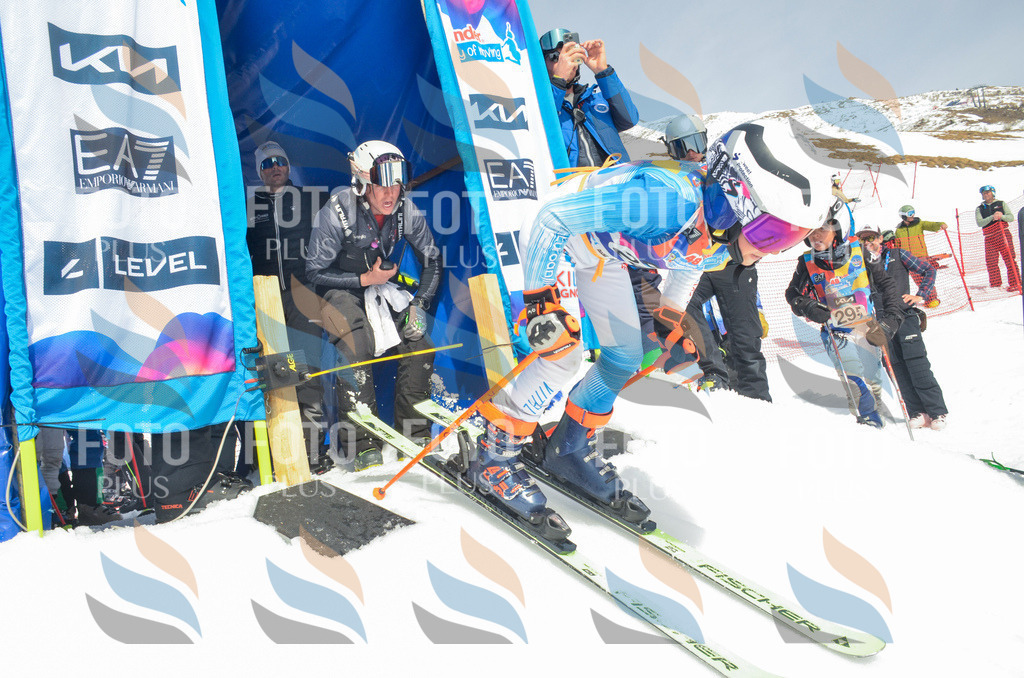 _ELE7441 | holidayphoto