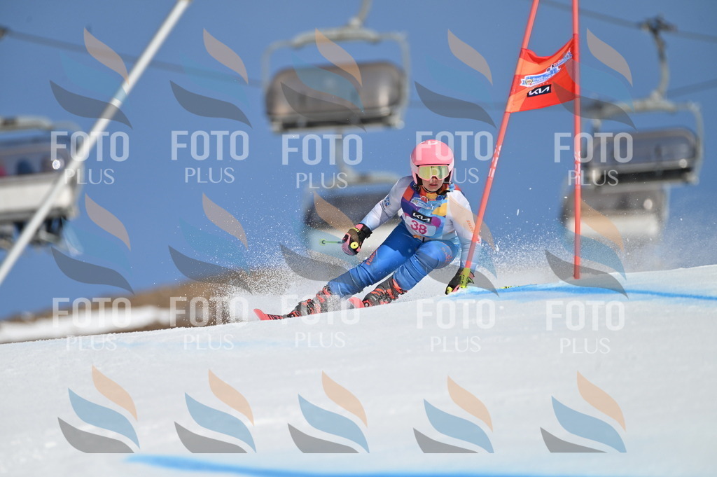 BGV_8296 | holidayphoto